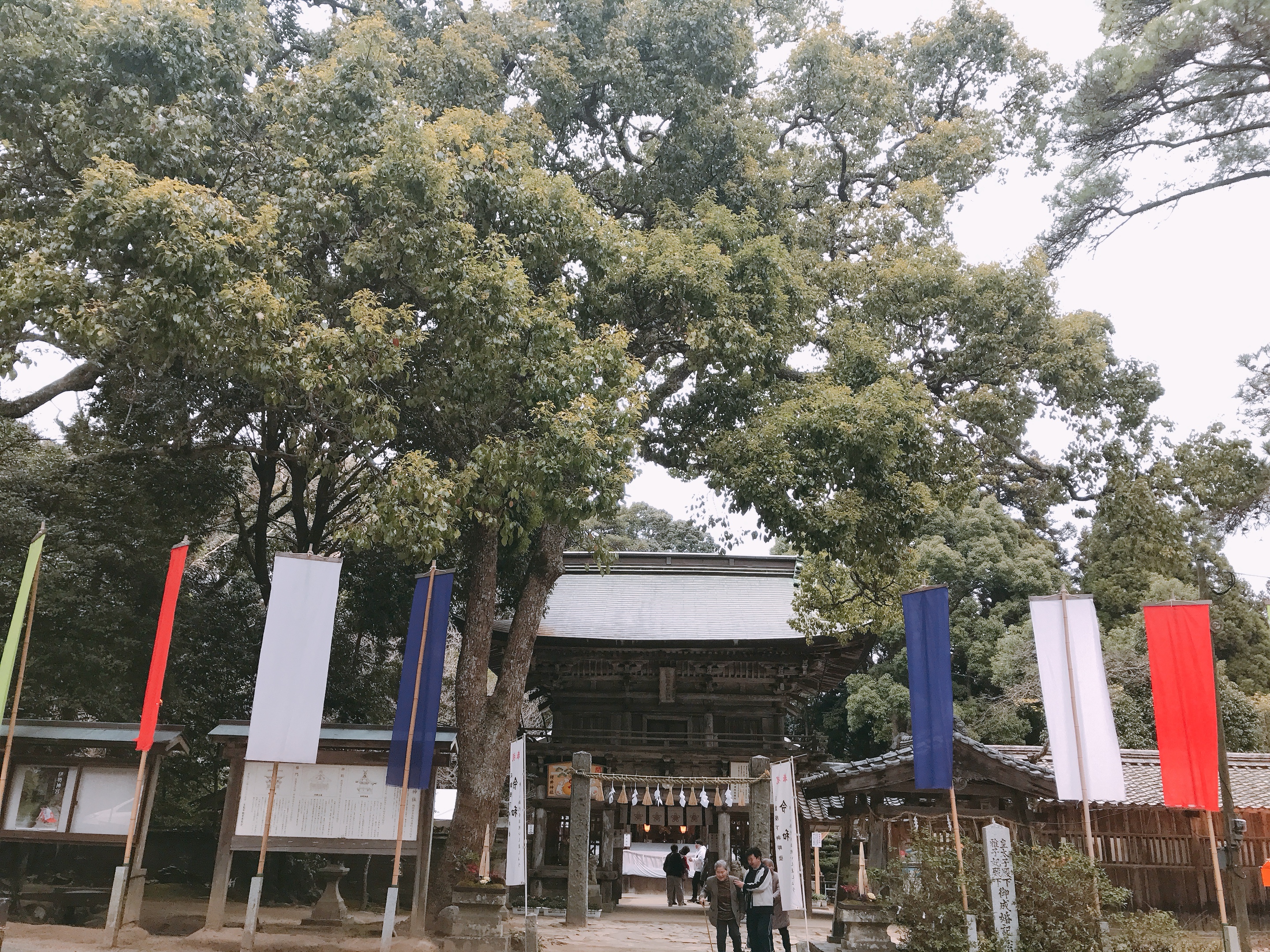 福岡・博多櫻井神社⛩